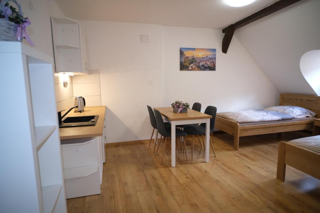 Pension Rosa Český Krumlov المظهر الخارجي الصورة